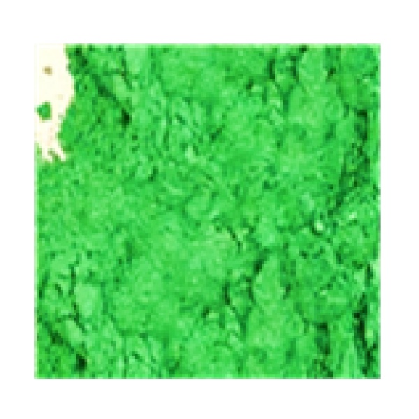 Green Leaf